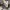 FIGURE TANGEN UZUI photo 1