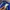 Nike Swoosh Short Pants photo 4