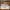 Shoyoroll x OTW By Vans Oldskool 36 Blue Red photo 3