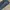 DICKIES DOUBLE KNEE GENUINE (NAVY) photo 6