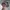 Topi Realtree Hat Gander photo 3