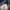 MLB Casual Hat Pria red blue photo 3