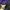 MLB Casual Hat Pria purple photo 2