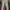 Ripped jeans perempuan  photo 1