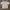 Adidas Streetwear Skater T-shirt Pria gray photo 1