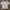 Adidas Streetwear Skater T-shirt Pria Gray