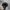 New Era New York Yankees Hat Nylon 9FORTY photo 3
