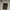 Dickies Streetwear Minimalist Bag Pria green cream photo 1