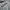 Covernat Casual Hoody Pria gray photo 2