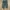 Ynbrand Short Cargopants photo 1