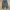 Ynbrand Short Cargopants photo 5