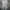Pancoat Vintage Casual Windbreaker Pria gray photo 1