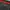 Adidas Sportswear Jersey Pria black red photo 4