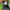 Adidas Casual Sneakers Pria green black photo 6
