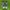 Adidas Casual Sneakers Pria green black photo 2
