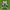 Adidas Casual Sneakers Pria green black photo 4