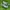 Adidas Casual Sneakers Pria green black photo 1