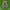 Adidas Casual Sneakers Pria green black photo 5