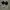 Vans and Nike Jordan 1LOW photo 4