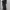 Black Cheongsam Rare Butterfly Flower photo 4