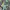 Akademiks DJ Disk Embroidery Baggy  photo 8