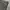 ICEBERG Carpenter Doubleknee Baggy photo 3