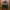 Jaket kulit leather bomber army pilot flight jacket 4 photo 2