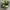 New Balance 1906R Volt Black Green Neon  photo 3