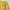 corduroy pants celana straight cut mustard yellow kuning photo 7