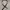Belt Cohn Cisco