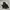 Black Yak Outdoor Jacket 