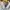 Jacket Harington Vintage Troy Bros Velvet Multi Pocket photo 5