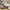 Air force 1 low/ AF 1 42,5  photo 4