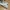 Air force 1 low/ AF 1 42,5  photo 5