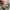 Nike kaos photo 3