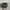 NTS Realtree Hats By Vars