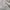 Superdry Tachnical Pop Arctic Windcheater Jacket photo 10