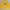 Pancoat Y2K Puffer jacket Pria yellow photo 1