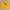 Pancoat Y2K Puffer Jacket Pria Yellow