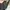 Burberry Bag Original Vintage photo 7