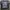 2000’s Vintage Nascar Over Size photo 1