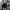 Ambler Korea Black Crewneck Sweater Hitam photo 2