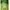Casual Wanita green photo 2