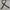 Army belt photo 2