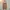 Forever 21 Minimalist Cardigan Wanita brown photo 1