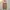Forever 21 Minimalist Cardigan Wanita Brown