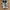 Nike Minimalist Sneakers Pria white photo 2