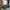 Longpants Uniqlo Jeans Denim Blue Style photo 1