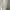 Luxury Coquette Midi dress Wanita white photo 1