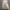 Luxury Coquette Midi dress Wanita white photo 2